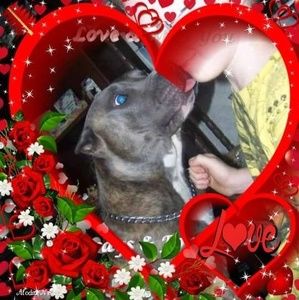 Meet your Posher, Jean